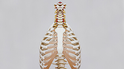 course-placeholder-img-01